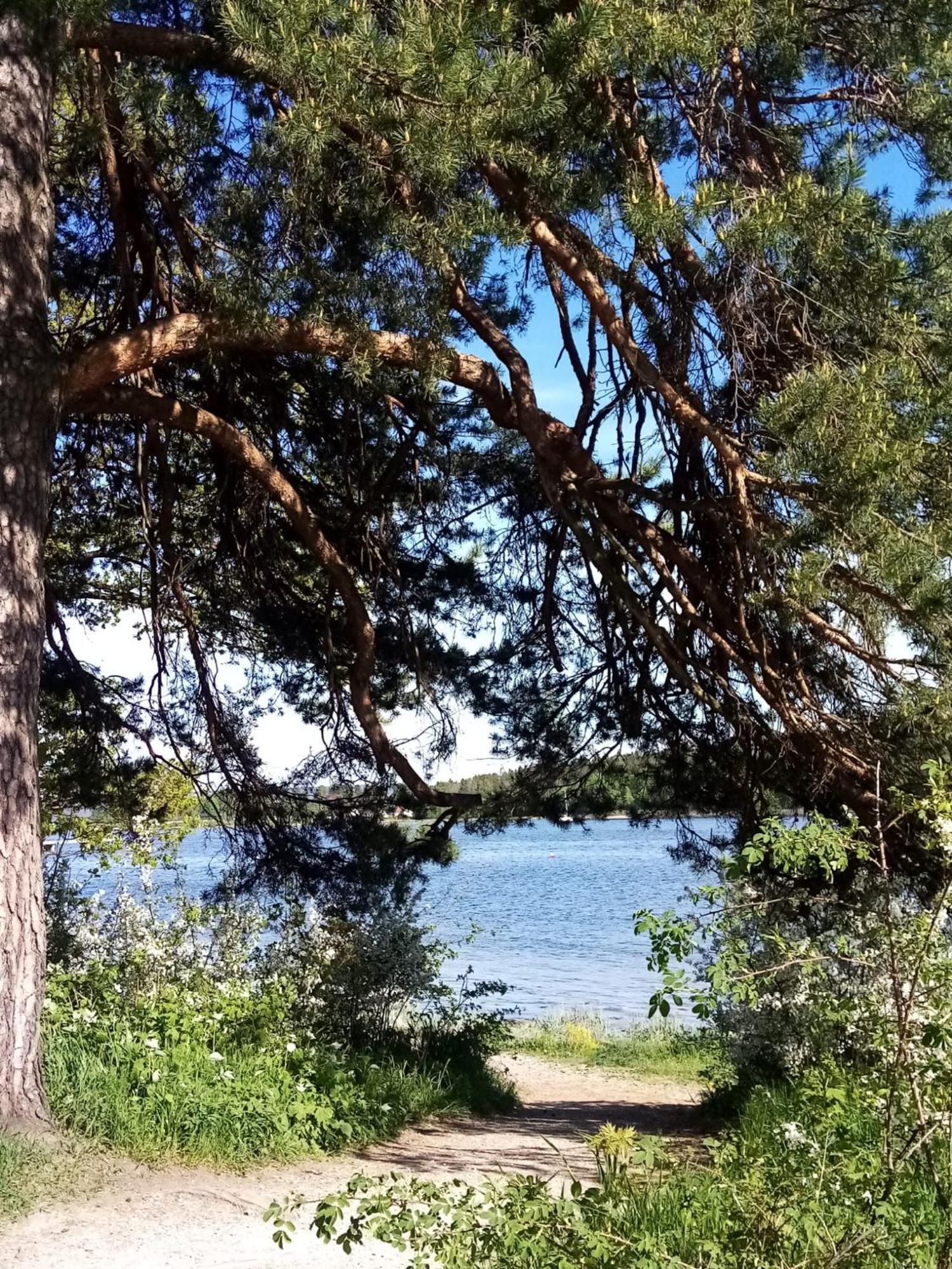 La Casa Marrone Norway Lägenhet Asker Exteriör bild
